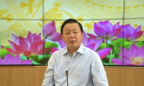 Phó Thủ tướng ‘sốt ruột’ việc giá lúa gạo giảm mạnh