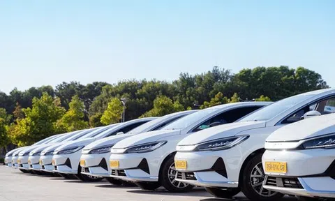 Thêm một doanh nghiệp vận tải mua hơn chục chiếc ô tô điện của BYD để chạy taxi