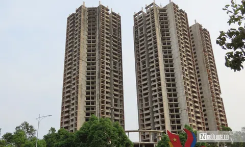 Bà Rịa – Vũng Tàu “thanh lọc" gần 200 cơ sở nhà đất bỏ hoang, sử dụng sai mục đích