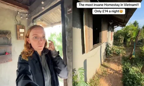 2 vị khách Tây thuê nguyên căn homestay tại Việt Nam chỉ với 462k, dân mạng xem hình ảnh xong nhao nhao hỏi địa chỉ