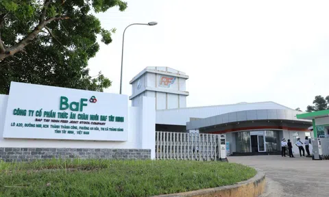 Không còn doanh thu nông sản, BAF vẫn lãi lớn nhờ nuôi heo