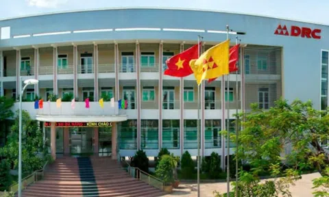 Cao su Đà Nẵng báo lãi quý thấp nhất thập kỷ qua, lãnh đạo nói gì?