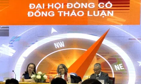 Chủ tịch VNDirect nói về việc cạnh tranh với đối thủ thuộc hệ sinh thái ngân hàng