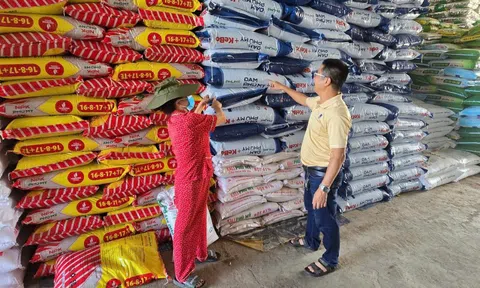 Phú Mỹ cung ứng gần nửa triệu tấn phân bón cho vụ Hè thu, mùa mưa