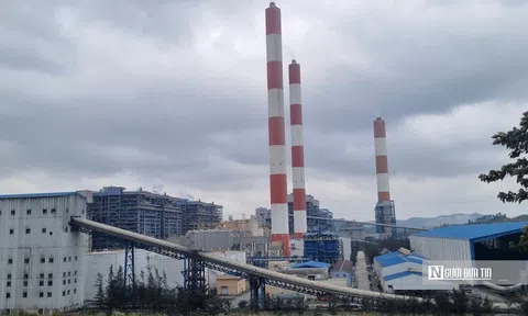 Mảng điện của TKV khởi sắc nhờ giá bán điện tăng