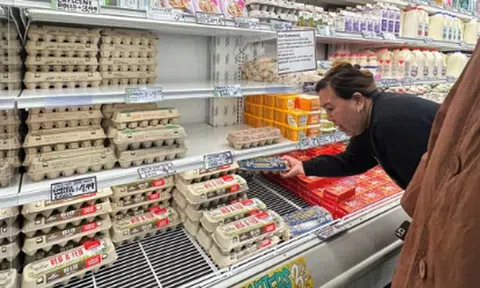 Vừa tăng giá lập kỷ lục, giá trứng tại Mỹ lại đang rơi tự do: Giảm mạnh 54% chỉ trong 1 tháng, ai là ‘thủ phạm’?