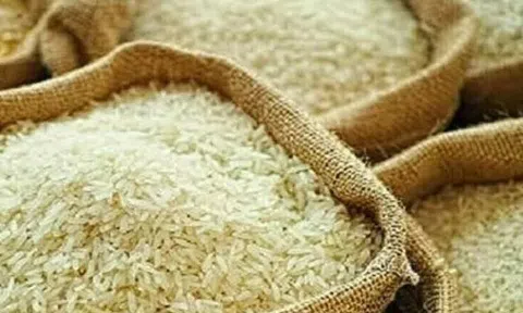 Gạo Ấn Độ chạm mức thấp nhất kể từ tháng 6/2023