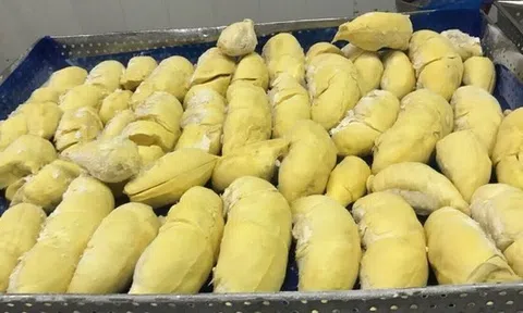 Sau 2 ngày thương thảo, sầu riêng đông lạnh Việt Nam thẳng tiến Trung Quốc