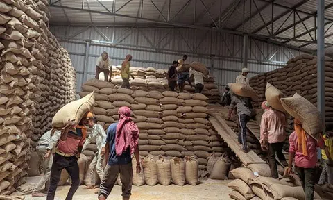 Sau gạo, Ấn Độ lại gây 'cú sốc' cho thị trường nông sản thế giới: dừng nhập khẩu mặt hàng chủ lực, giá có nguy cơ lao dốc