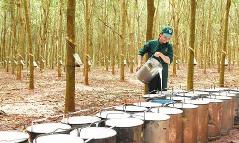 Trung Quốc mua hàng triệu tấn 'vàng trắng' để theo đuổi giấc mơ xe điện, nhưng lại giảm nhập từ Việt Nam