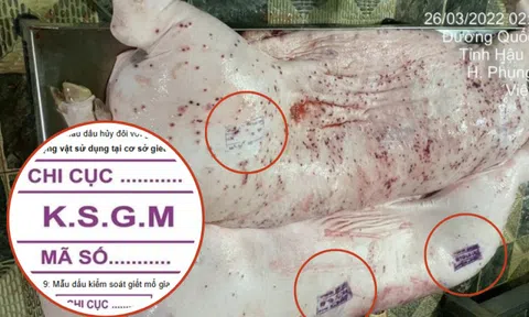 Vụ C.P. Việt Nam bị tố bán heo bệnh: Các mẫu dấu đóng trên thịt gia súc nói lên điều gì?