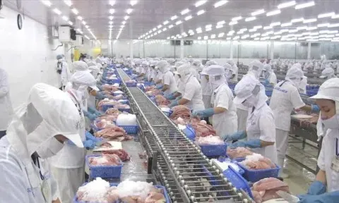 Việt Nam vừa thu 28 tỷ USD nông sản, khách nào 'sộp' nhất?