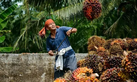 Một ngành giúp Malaysia thu 26 tỷ USD/năm, nước bạn kỳ vọng "Việt Nam mở ra cơ hội tuyệt vời cho chúng ta"