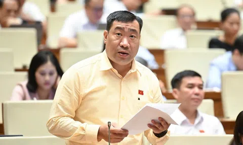 Tránh tình trạng "ôm đất chờ thời" khi miễn thuế đất nông nghiệp