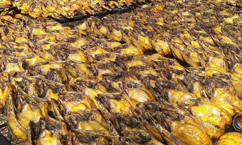 Loại cá 'rẻ bèo' bán đầy chợ Việt bất ngờ được nước giàu nhất Nam Mỹ tăng nhập khẩu: Protein không kém cá hồi