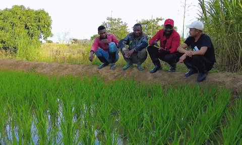 Bí thư huyện về thăm trang trại của team Quang Linh châu Phi, 'đứng hình' khi nhìn thấy cây lúa của Việt Nam, hứa hẹn 1 điều khiến người dân xúc động