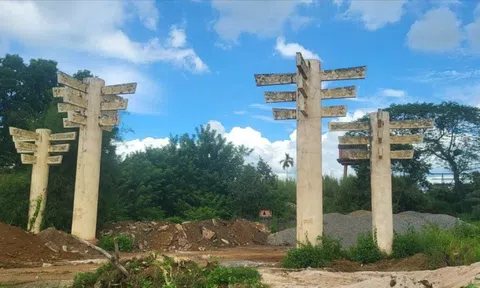 Thu hồi hơn 15.000 mét vuông đất dự án khu thưởng lãm của Công ty cà phê Trung Nguyên