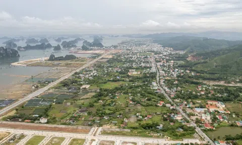 Chân dung chủ đầu tư dự án nghỉ dưỡng tỷ USD mới tại Vân Đồn