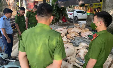 Mở đợt cao điểm đấu tranh, ngăn chặn buôn lậu, hàng giả trên toàn quốc từ ngày 15/5 đến 15/6