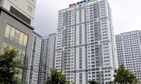 Taseco Land chia cổ tức 15%, công ty mẹ "đút túi" 340 tỷ đồng tiền mặt