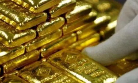 Tịch thu 7 kg vàng trị giá hơn 21 tỷ đồng trên xe vận chuyển táo