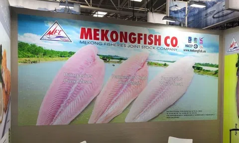 Nhân sự cấp cao Thủy sản Mekong muốn thoái sạch vốn