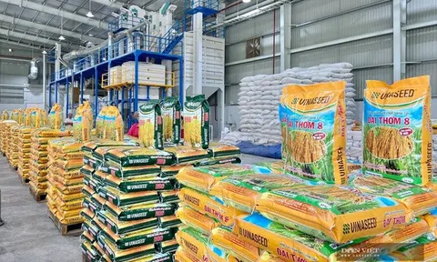 Lãnh đạo cấp cao Vinaseed xin nghỉ hưu trước tuổi