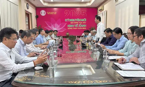 EVNNPT phối hợp với tỉnh Đồng Tháp triển khai dự án truyền tải điện cấp bách