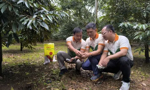 Đồng hành cùng nền nông nghiệp hiện đại và bền vững