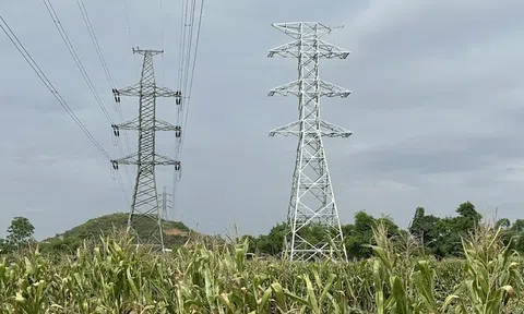 Đẩy nhanh tiến độ cụm dự án truyền tải điện phục vụ nhập khẩu điện từ Lào