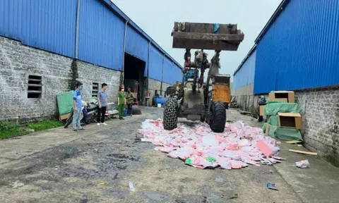 Tiêu hủy gần 2.000 gấu bông “Baby Three” chứa chất độc hại