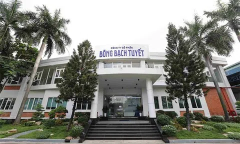 Chương mới của Bông Bạch Tuyết