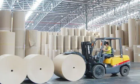 Con trai CEO Đông Hải Bến Tre chi tiền tỷ mua cổ phiếu DHC