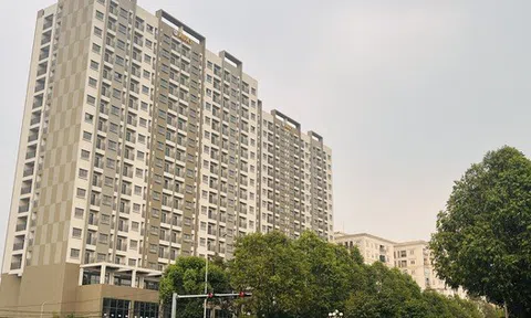 Xây mới hàng vạn căn nhà ở xã hội