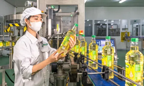 "Mặt trận" nghìn tỷ và cuộc đua mở rộng ngành dầu ăn Việt