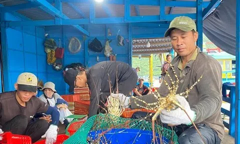 Xuất khẩu nông sản tăng ngay đầu năm, vững tiến tới 65 tỷ USD