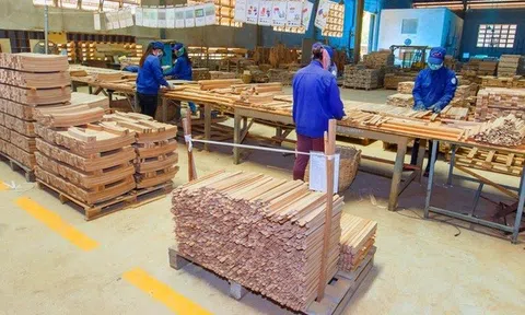 Phú Tài lãi hơn 304 tỷ đồng sau 6 tháng, hoàn thành 64% kế hoạch năm