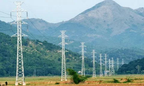 Toàn bộ thành viên HĐQT từ nhiệm, VNECO 9 tổ chức họp khẩn