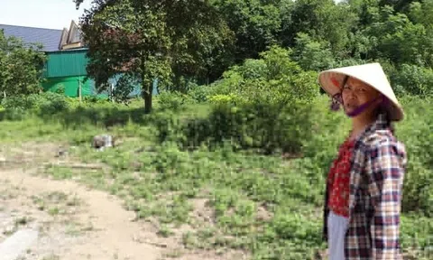 Thông tin mới vụ nộp gần 4,5 tỷ tiền thuế chuyển đổi 300 m2 đất vườn