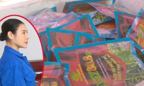 Nữ quái đất Mỏ sản xuất hơn 66.000 gói thuốc diệt cỏ giả bằng hạt nêm