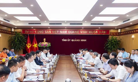 FPT và Quảng Ninh 'bắt tay' kiến tạo mô hình chính quyền số kiểu mẫu