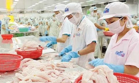 Thủy sản Hùng Vương bị xử phạt