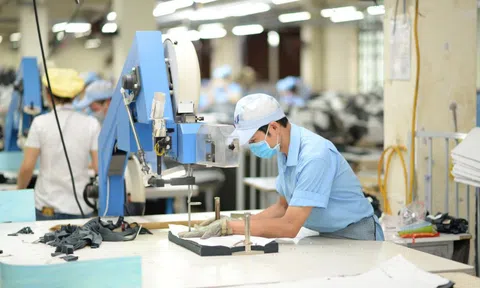 Doanh thu giảm, May Hữu Nghị vẫn đạt 82% kế hoạch lợi nhuận sau nửa đầu năm