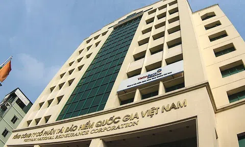 Vinare sắp phát hành hơn 18 triệu cổ phiếu trả cổ tức