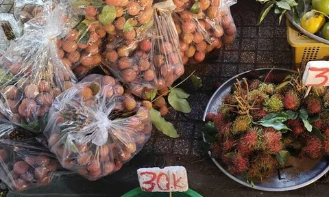 Vải thiều đang bán ở TP HCM có giá rẻ đến bất ngờ