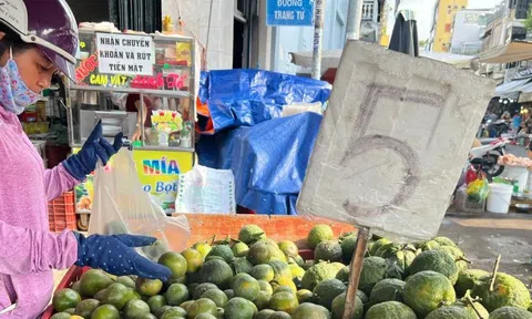 Trái cây 'đại hạ giá', có loại chỉ 5.000 đồng/kg ở TPHCM