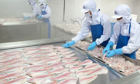 Thủy sản Mekong thoát lỗ