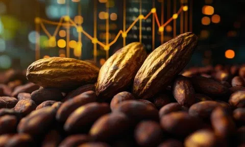 Việt Nam sở hữu loại "kim cương đen" cực kỳ cao cấp: Cả thế giới chỉ 20 nước được công nhận!