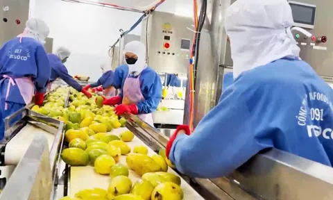 Hành trình gian nan đưa nông sản sạch đến bàn ăn