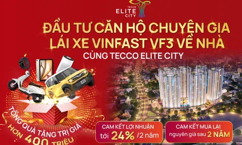 Đầu tư căn hộ chuyên gia - Lái xe VF3 về nhà cùng Tecco Elite City